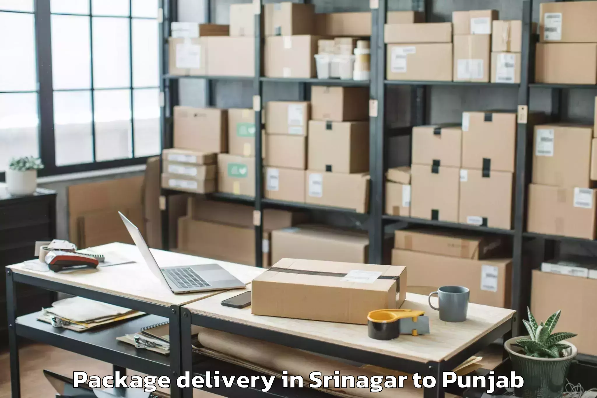 Srinagar to Hoshiarpur Package Delivery